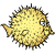 Openbsd